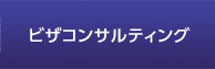 ビザコンサルティング