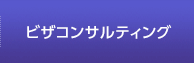 ビザコンサルティング